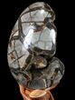 Septarian Dragon Egg Geode - Black Crystals #88190-2